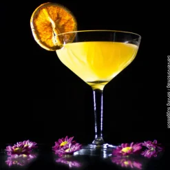 Barstuff Cocktailschale, Basic Bar Motion Schott Zwiesel - 202ml (6Stk.)