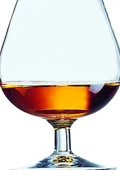 Barstuff Cognacschwenker Degustation, Arcoroc - 250ml