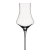 Barstuff Digestif Glas Willsberger Anniversary, Spiegelau - 191ml
