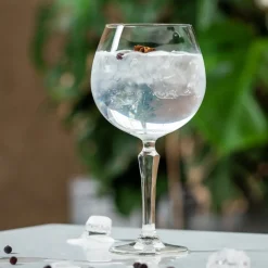 Barstuff Gin & Tonic Glas Spksy, Onis - 585ml