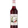 Barstuff Grenadine - Monin Sirup (1,0l)