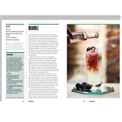 Barstuff How to drink Gin