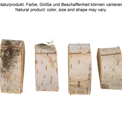 Barstuff Kartenhalter Birke, Baumscheibe Birke - ca. 6,5cm