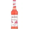 Barstuff Kaugummi - Monin Sirup (0,7l)