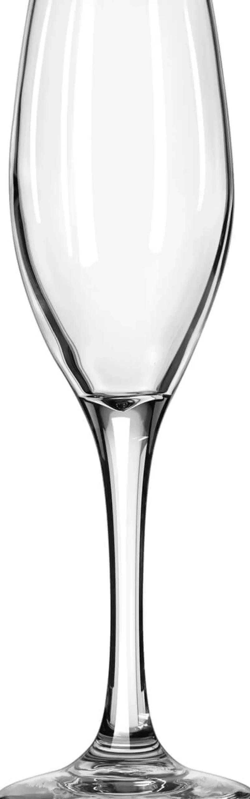 Barstuff Sektglas Perception, Libbey - 170ml (12 Stk.)