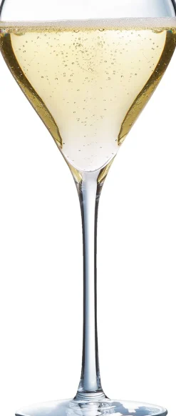Barstuff Sektschale Brio, Arcoroc - 210ml