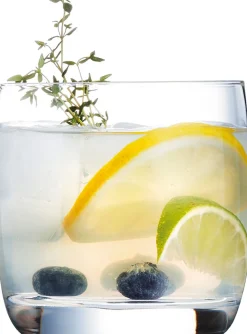 Barstuff Tumbler Vigne, C&S - 310ml