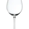 Barstuff Weißweinglas Salute, Spiegelau - 465ml